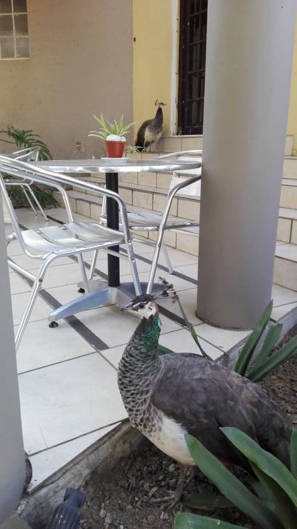 Villa Via Hotel Midrand Extérieur photo